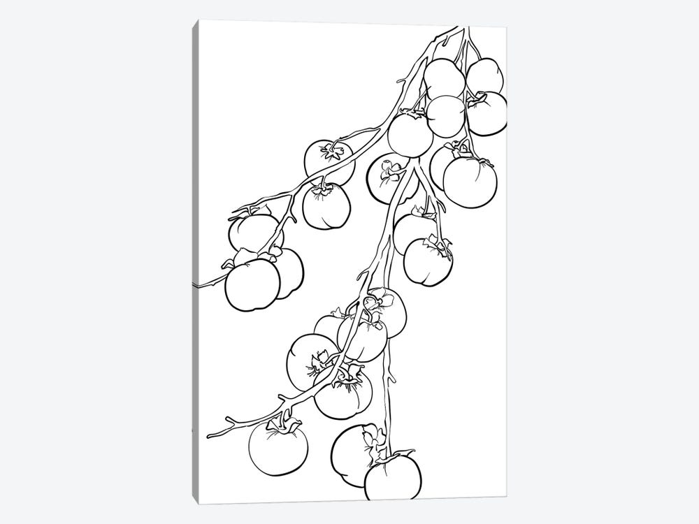 Branch Of Persimmons Line Art by blursbyai 1-piece Canvas Art