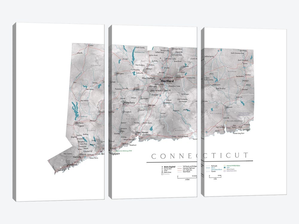 Detailed Map Of Connecticut by blursbyai 3-piece Canvas Print