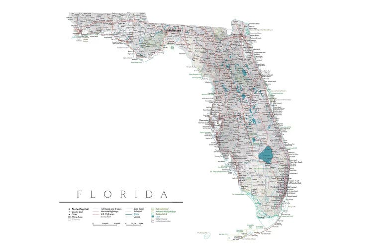 Detailed Map Of Florida, USA by blursbyai wall art