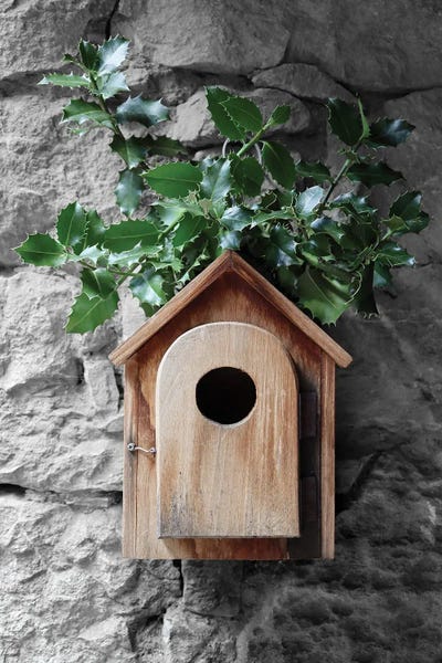Holly Birdhouse by blursbyai multi panel art