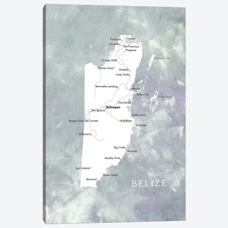 Map Of Belize In Muted Tones Canvas Print #RLZ502} by blursbyai Canvas Artwork