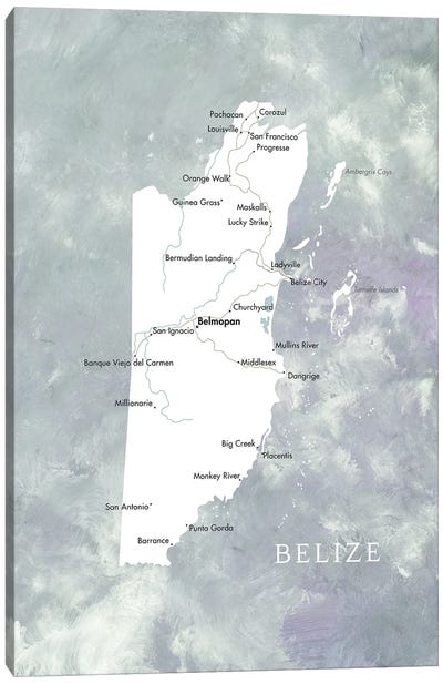 Map Of Belize In Muted Tones Canvas Art Print - blursbyai