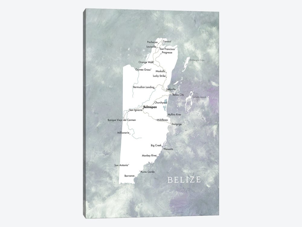 Map Of Belize In Muted Tones by blursbyai 1-piece Canvas Art