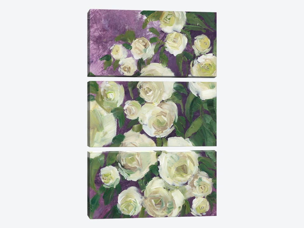 Noray Painterly Roses by blursbyai 3-piece Canvas Artwork