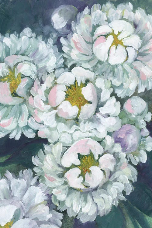 Willoh Painterly Peonies