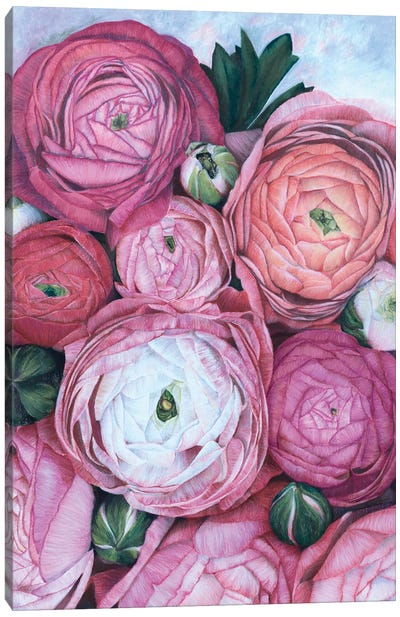 Arleth Ranunculus Bouquet In Cold Pink Canvas Art Print - blursbyai