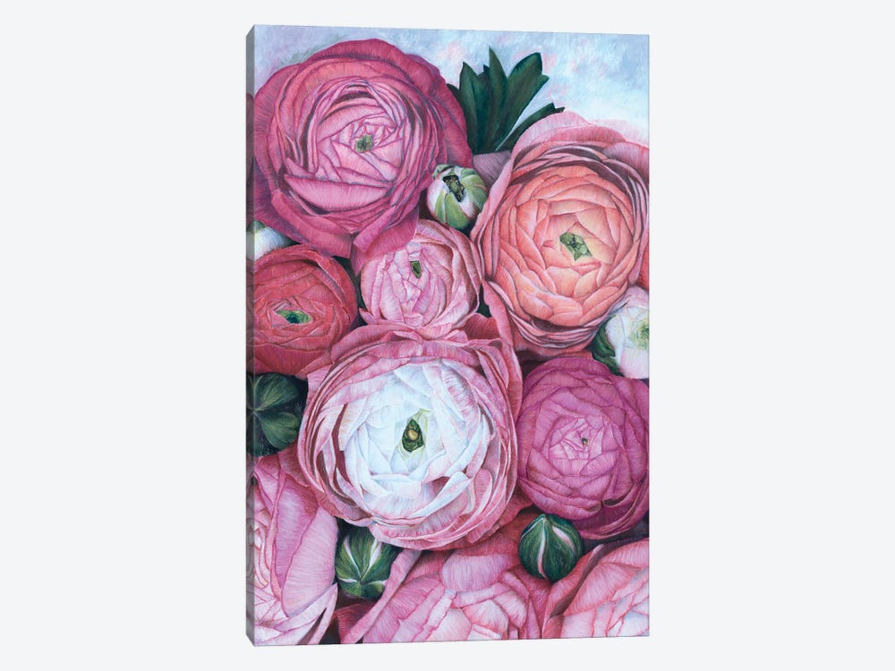 Arleth Ranunculus Bouquet In Cold Pink by blursbyai 1-piece Canvas Art Print