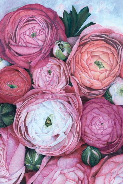 blursbyai: Arleth Ranunculus Bouquet In Cold Pink by blursbyai