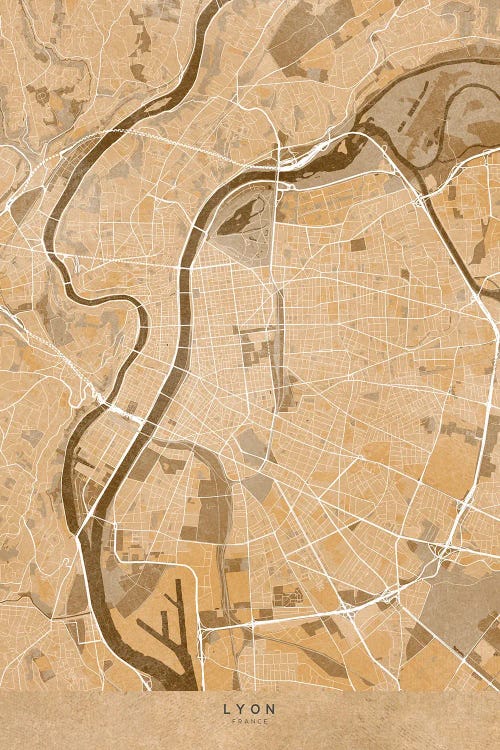 Sepia Vintage Map Of Lyon (France) by blursbyai wall art