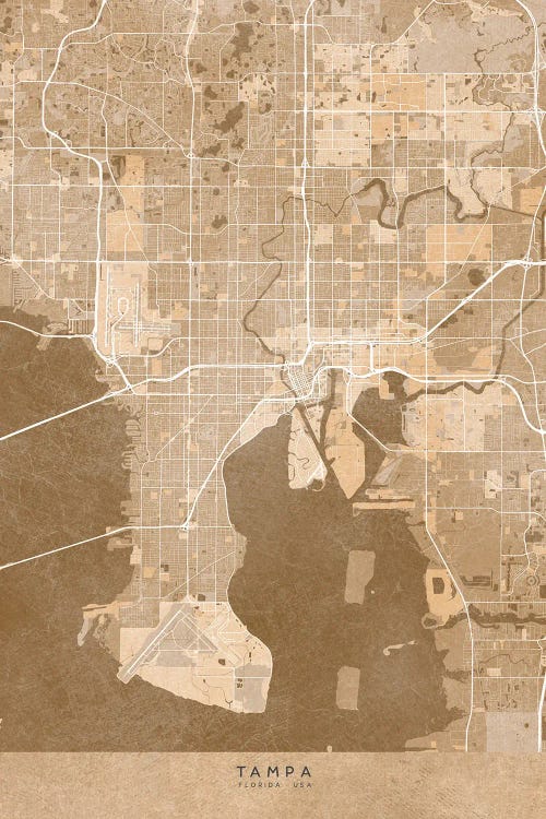 Map Of Tampa (Florida, USA) In Sepia Vintage Style