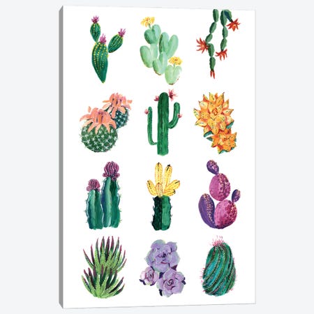 Collection Of Cacti Canvas Print #RLZ67} by blursbyai Canvas Artwork