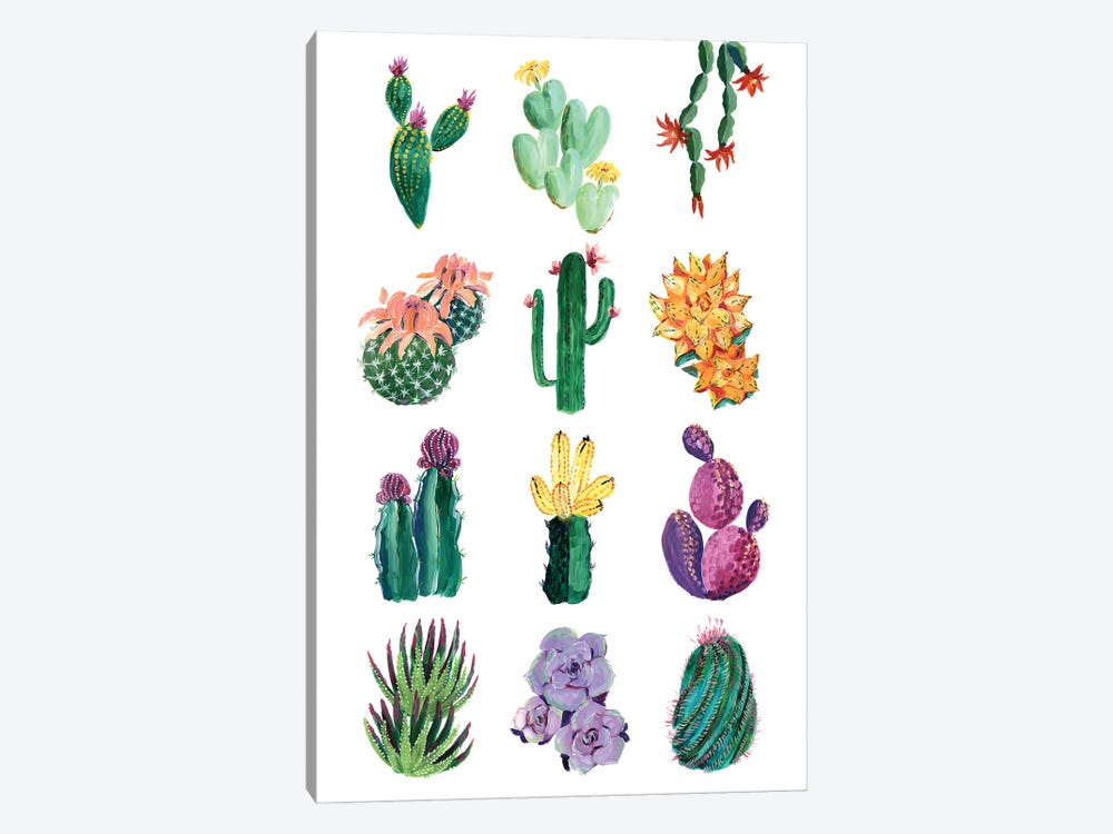 Collection Of Cacti by blursbyai 1-piece Canvas Wall Art