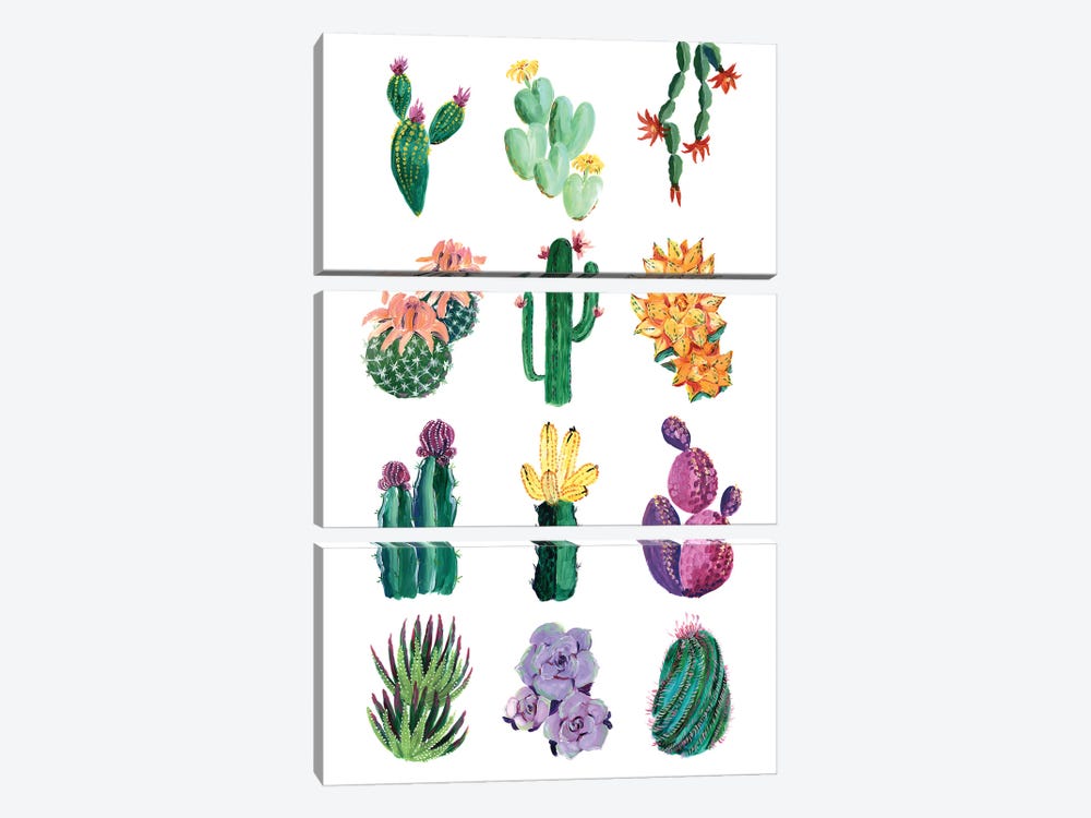 Collection Of Cacti by blursbyai 3-piece Canvas Wall Art