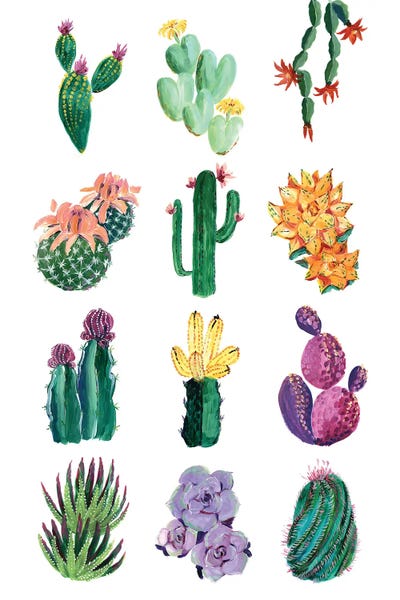 blursbyai: Collection Of Cacti by blursbyai