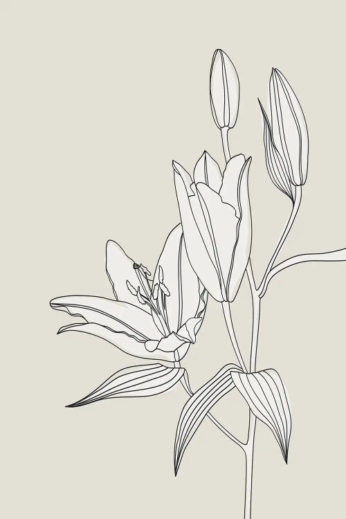 Line Art Lilies In Beige by blursbyai wall art