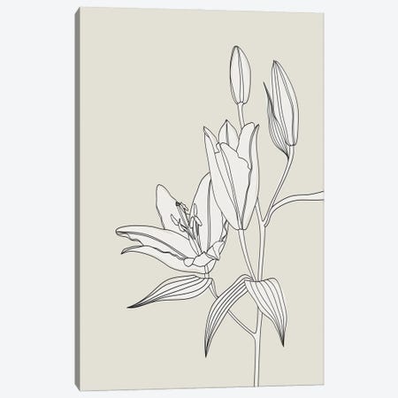 Line Art Lilies In Beige Canvas Print #RLZ707} by blursbyai Art Print