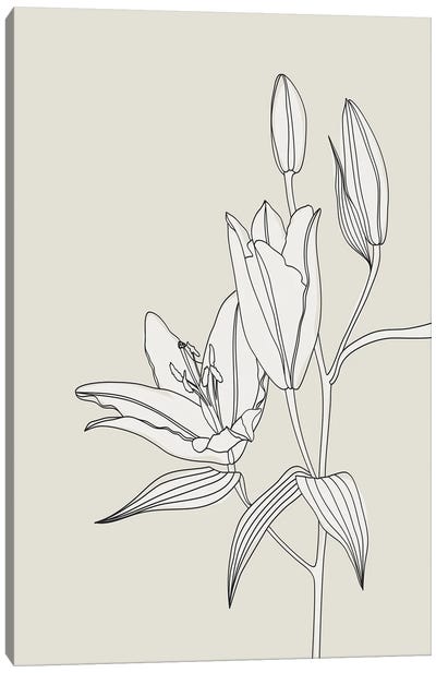 Line Art Lilies In Beige Canvas Art Print - blursbyai
