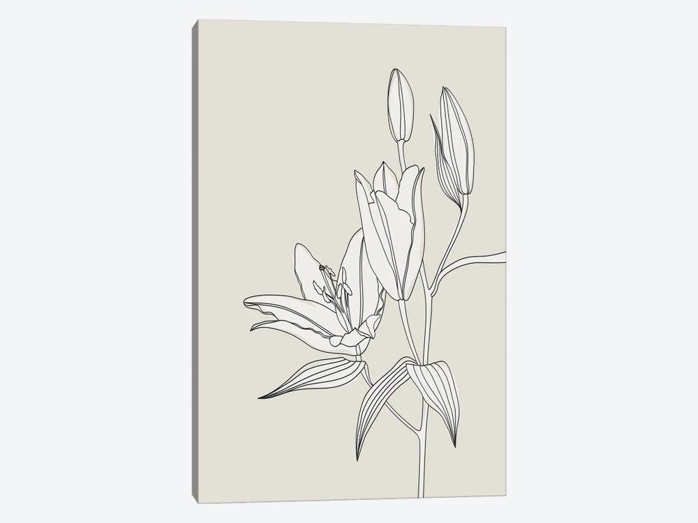 Line Art Lilies In Beige by blursbyai 1-piece Canvas Art