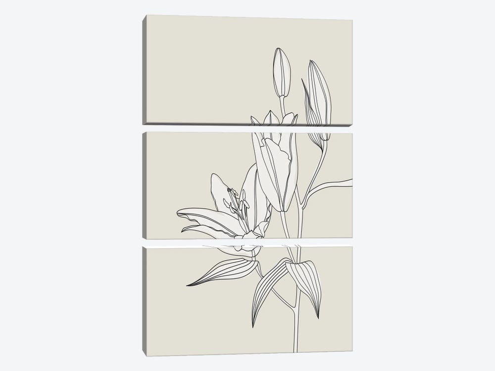 Line Art Lilies In Beige by blursbyai 3-piece Canvas Wall Art