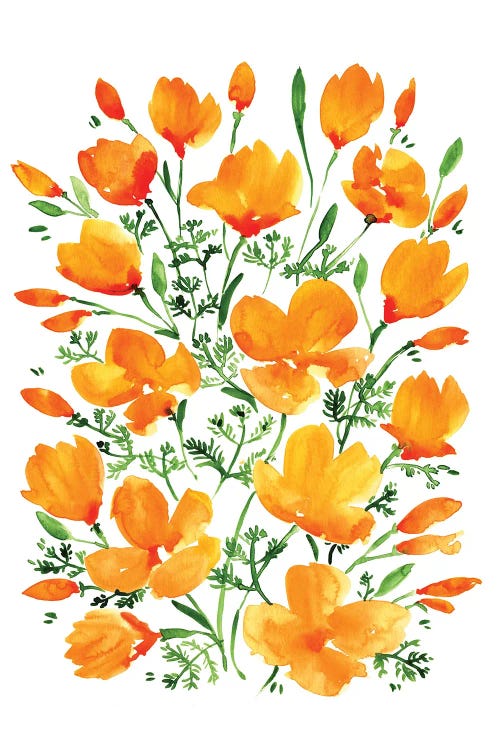 Watercolor California Poppies