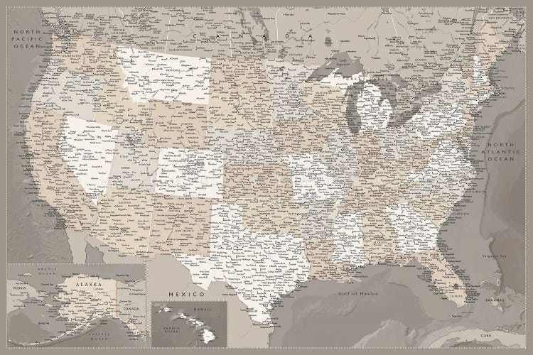 Detailed Brown Map Of The Usa, Davey by blursbyai wall art