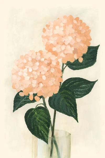 Hydrangeas: Coral Hydrangeas In A Vase by blursbyai