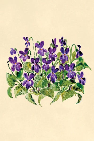 Violet Botanical Study