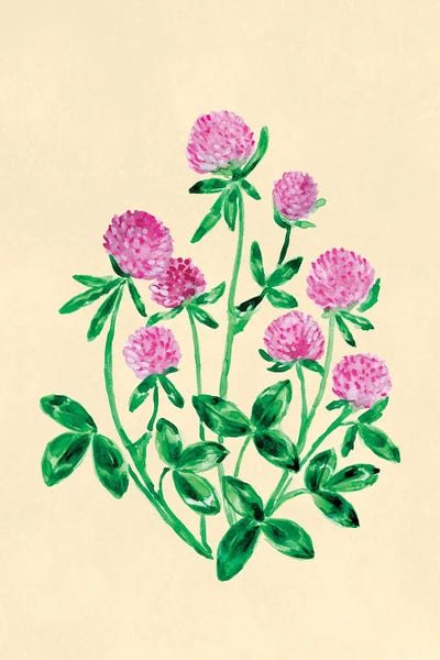 Canvas Print: Red Clover Botanical Study by blursbyai - thumbnail