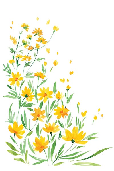Wildflowers: Yellow Watercolor Wildflowers by blursbyai