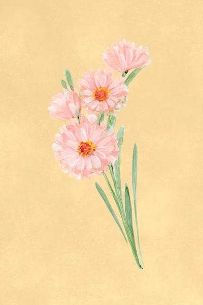 Canvas Print: Pink Daisy Botanical Study by blursbyai - thumbnail