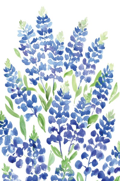 Watercolor Flowers: Bouquet Of Texas Bluebonnets by blursbyai