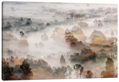 Autumns Canvas Art Print