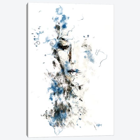 Envie De Ciel Bleu Canvas Print #RMB9} by Romain Bonnet Canvas Wall Art