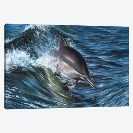 Dolphin Canvas Print #RMC10} by Richard Macwee Canvas Artwork