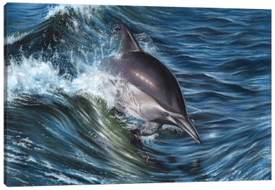 Dolphin Canvas Art Print - Richard Macwee