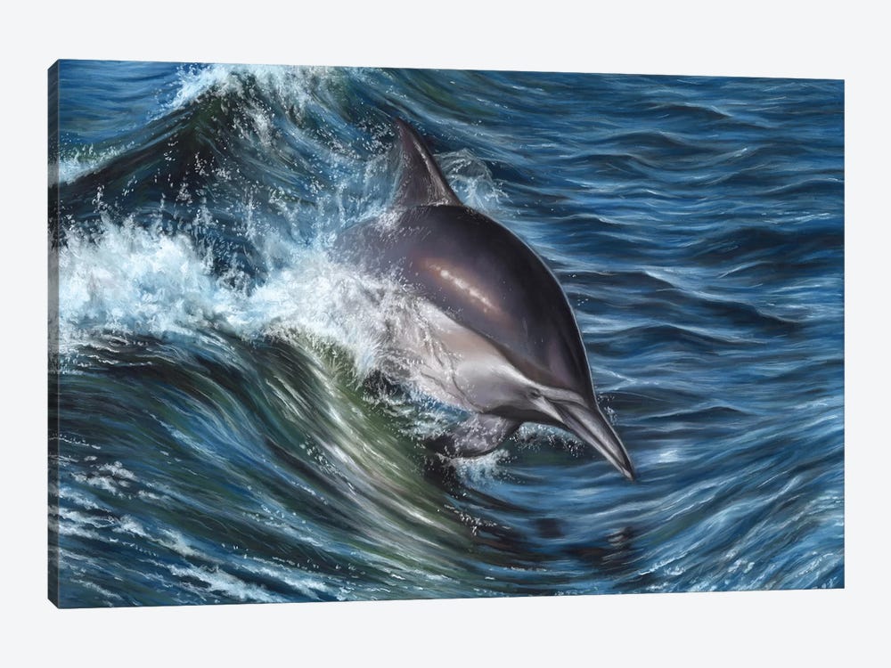 Dolphin by Richard Macwee 1-piece Canvas Print