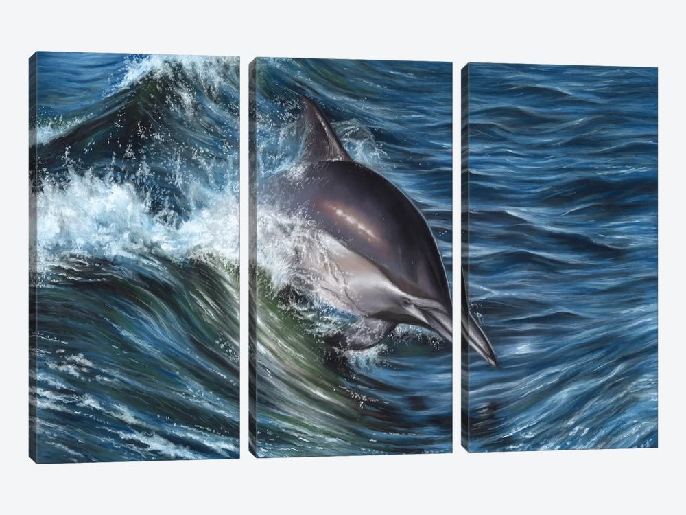 Dolphin by Richard Macwee 3-piece Canvas Art Print