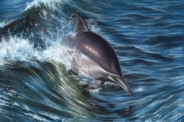 Richard Macwee: Dolphin by Richard Macwee