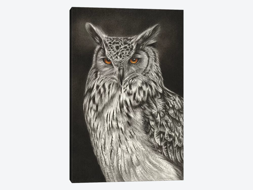 Eagle Owl by Richard Macwee 1-piece Canvas Print