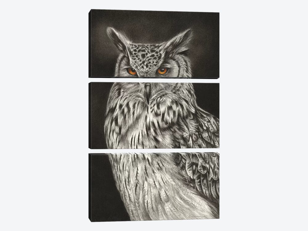 Eagle Owl by Richard Macwee 3-piece Canvas Art Print