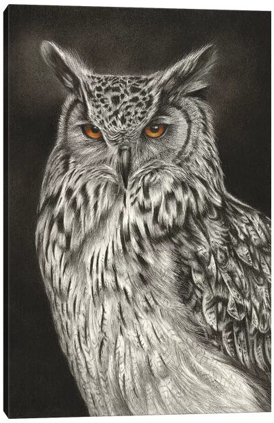 Eagle Owl Canvas Art Print - Richard Macwee