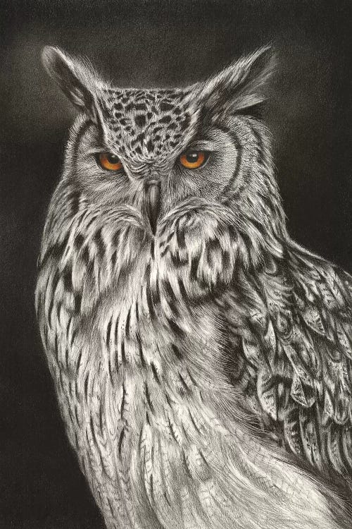 Eagle Owl