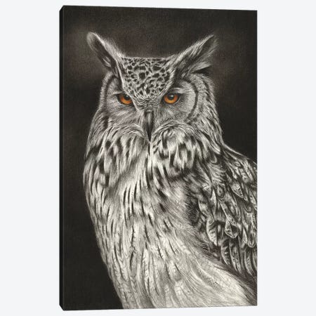 Eagle Owl Canvas Print #RMC12} by Richard Macwee Canvas Artwork