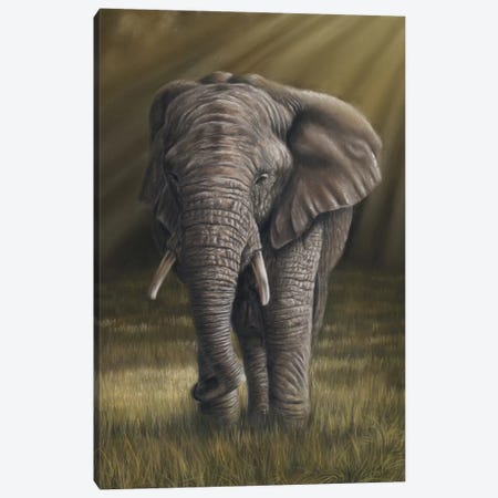 Elephant Canvas Print #RMC13} by Richard Macwee Canvas Art