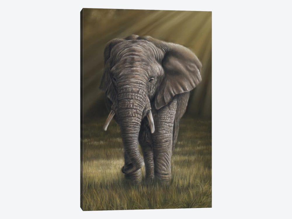 Elephant by Richard Macwee 1-piece Canvas Art