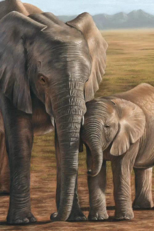 Elephant And Calf