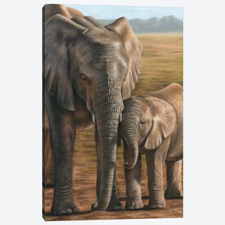 Elephant And Calf Canvas Print #RMC14} by Richard Macwee Canvas Print
