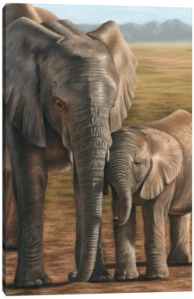 Elephant And Calf Canvas Art Print - Baby Animal Art