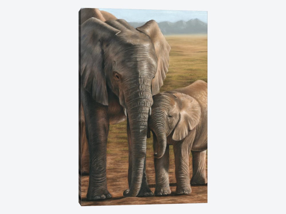 Elephant And Calf by Richard Macwee 1-piece Canvas Art Print