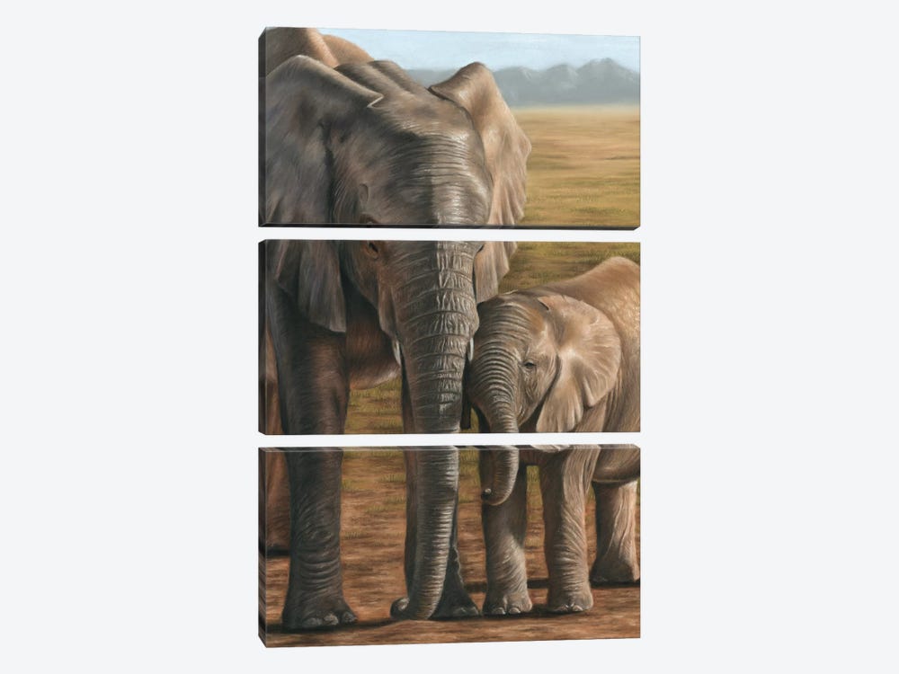 Elephant And Calf by Richard Macwee 3-piece Art Print